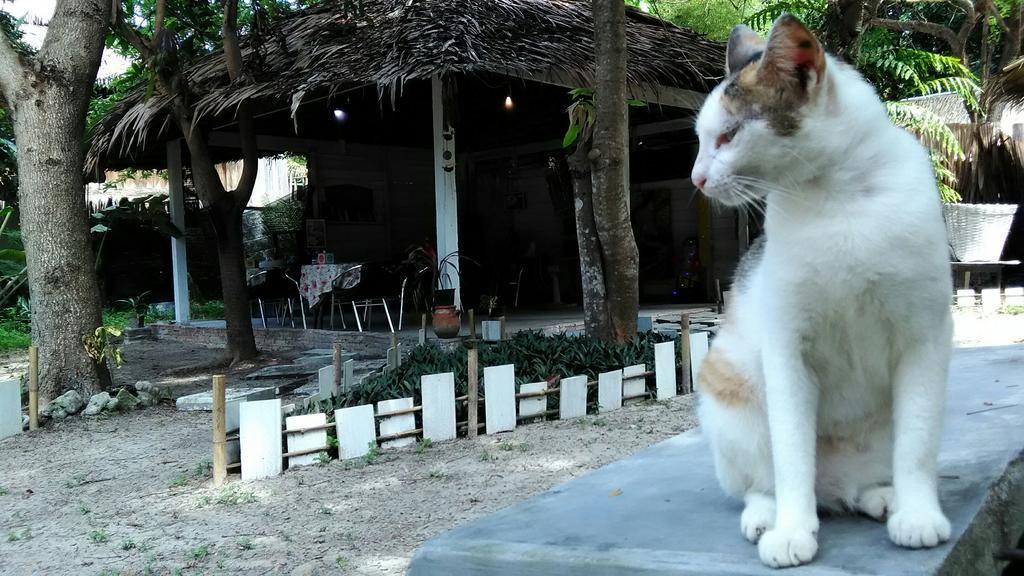 Kafair Hut (Adults Only) Otel Koh Lipe Dış mekan fotoğraf